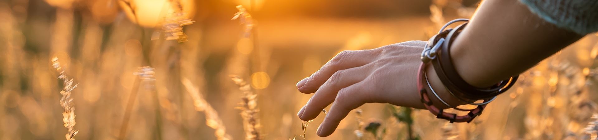 Hardship application